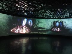 -同济大学四平路校区深海探索馆