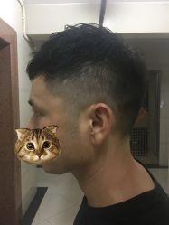 -藤野造型