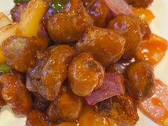 -鸽小宝(深圳首店)