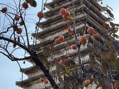 -北京石刻艺术博物馆(五塔寺)