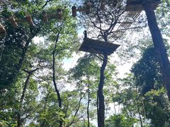 -芦仙山景区-飞越丛林探险乐园