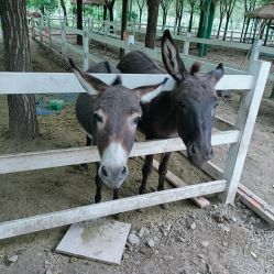 -优沃得自然教育农场·冰雪乐园·生日会·研学