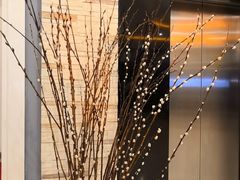 -沙巴希迪特酒店