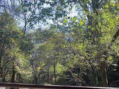 -杭州半山国家森林公园