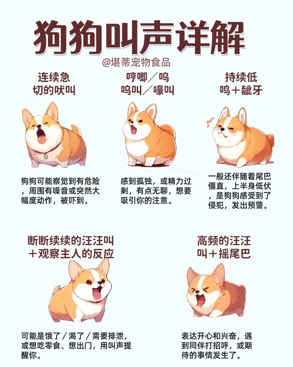 狗狗叫声详解
🌈情况一:需求型吠叫
参考表现
