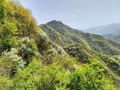 -抱龙峪