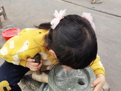 -前小桔亲子创意农场·草莓采摘·露营烧烤