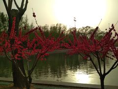 -青年湖公园水上世界