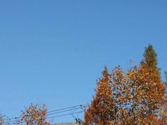 -上海市工商外国语学校