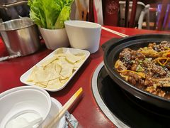 生态甲鱼-火焰金龟甲(汉阳江滩旗舰店)