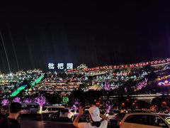 -枇杷园食为鲜火锅(南山店)