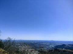 -北京西山国家森林公园