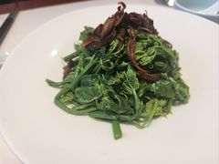 鸡枞菌拌丝瓜尖-一品滇香·云南菜(公益西桥店)