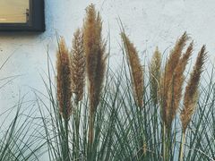 -来回·咖啡(钟村咖啡豆店)