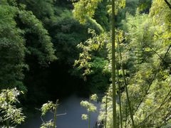 -川西竹海景区