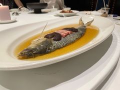 陈年花雕蒸鲥鱼-福1088