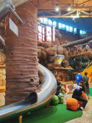 -卡通尼·Safari非洲探索乐园·生日会(金桥国际商业广场店)