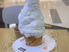 -野人先生Gelato(上海长宁龙之梦店)