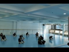 -西安小天鹅艺术团(曲江Alice店)