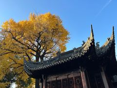-豫园