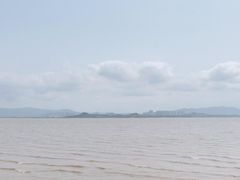 -深圳湾公园(南山区)