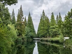 -东平国家森林公园