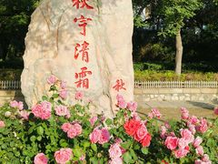 -天津水上公园
