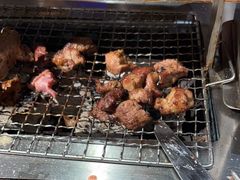 -柿子树炭烤羊腿(金台路店)
