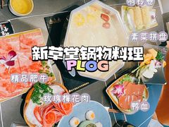-新草堂锅物料理(泉城路店)