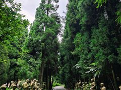 -武陵山森林公园