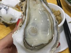 -蚝专家(北滘店)