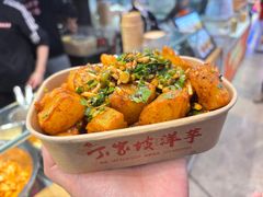 -周小亮丁家坡洋芋(全国总店)