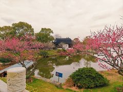 -上海海湾国家森林公园