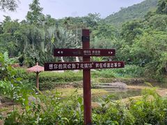 -呀诺达热带雨林