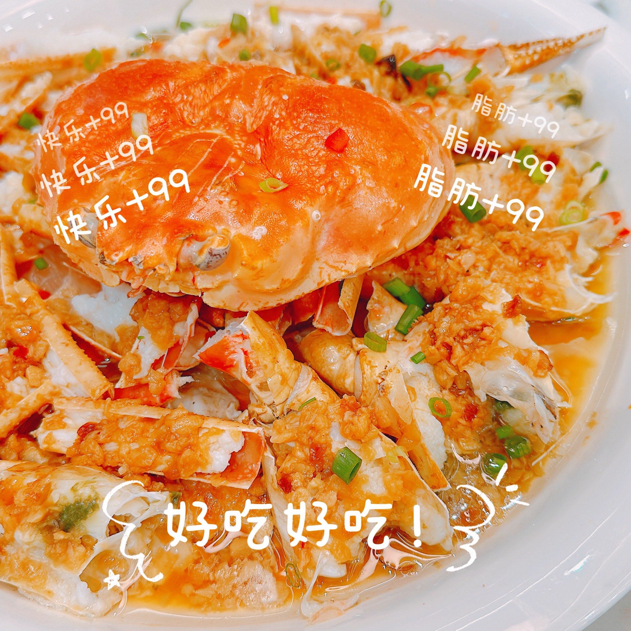 海味撩味～海鲜大餐 吃在舟山沈家门