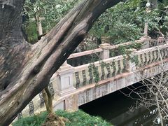 -叶家花园