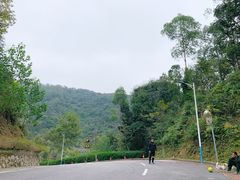 -火炉山森林公园