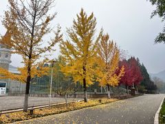 -北京宽沟会议中心