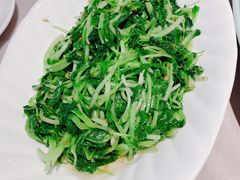鸡毛菜-新沸腾鱼乡(世贸天阶店)