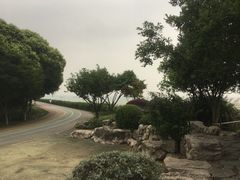 -贡湖湾湿地公园