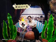 -江和美海洋公园