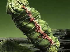-HOT CRUSH趁热集合·现烤面包(上海环球港店)