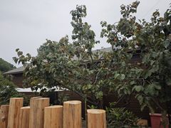 -军山湖云水间生态农业旅游景区