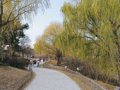 -北京西山国家森林公园