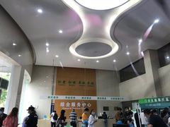 -青岛市市立医院(本部)