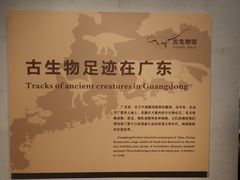 -广东省博物馆