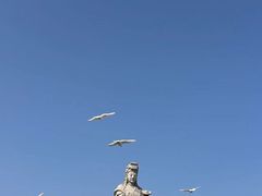 -天津妈祖文化园