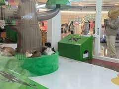 -天虹购物中心(深圳龙华店)