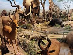 -陕西自然博物馆