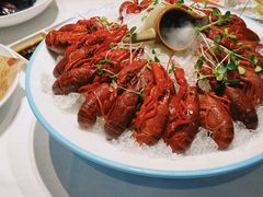 -杨氏青龙虾·羊蝎子(金盛路总店)